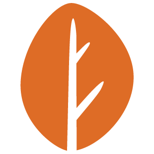 groupplaynet.com favicon